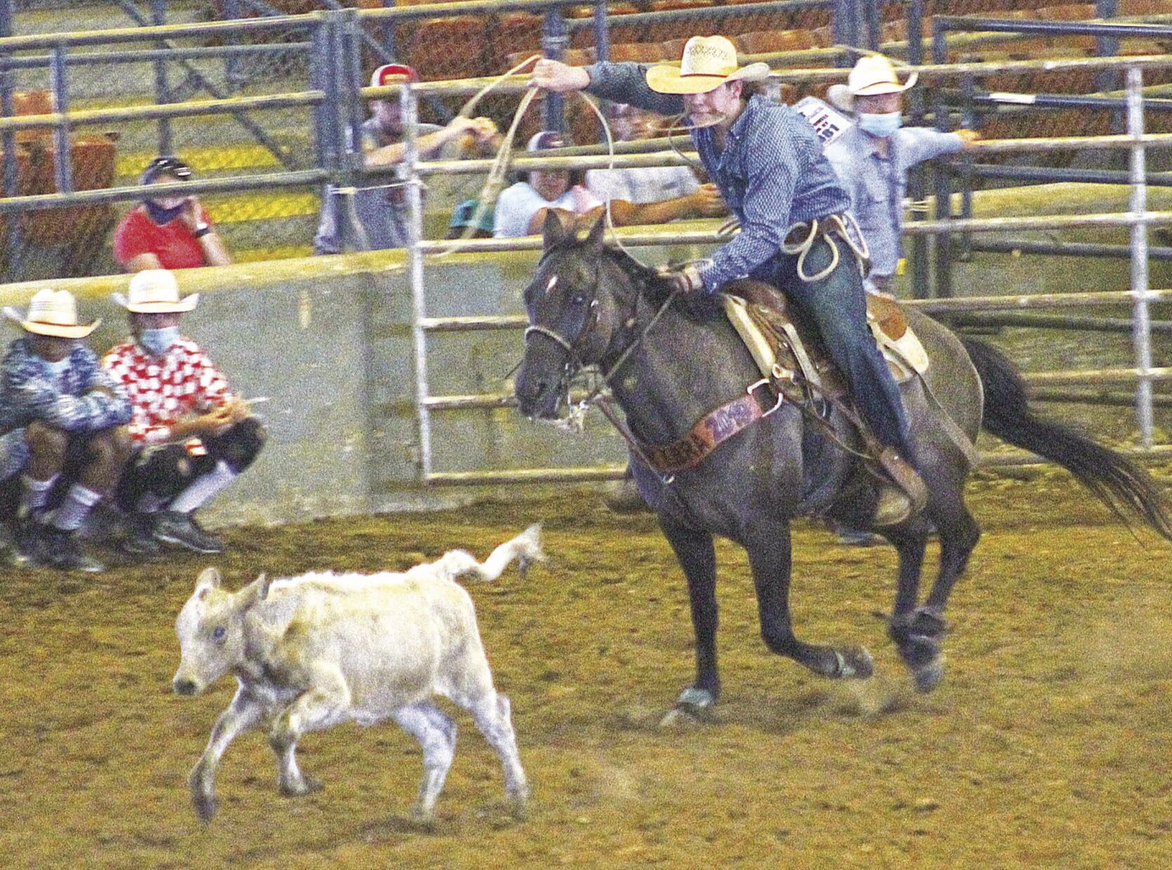Littke Britches Rodeo calf roping